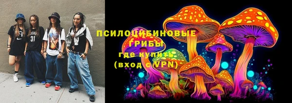 ПСИЛОЦИБИНОВЫЕ ГРИБЫ Баксан